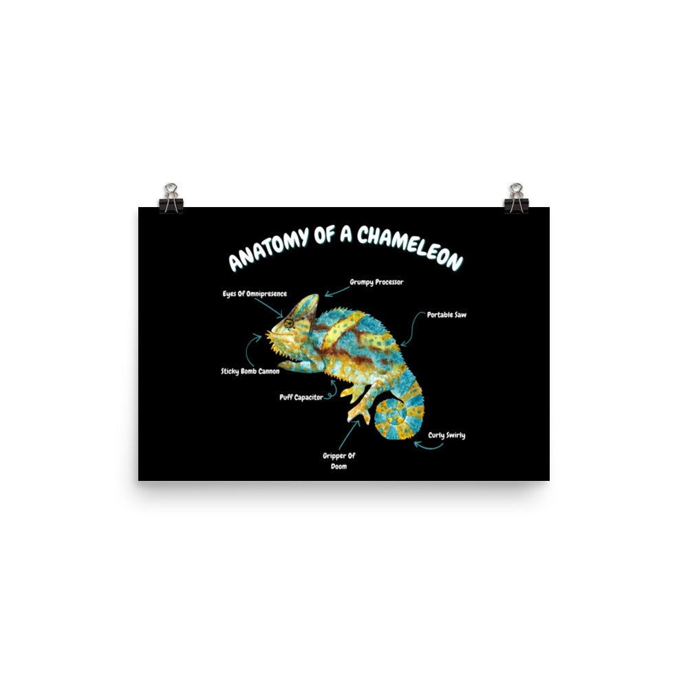 Anatomy of a Chameleon Poster