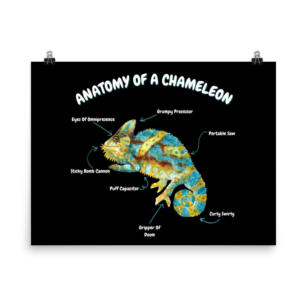 Anatomy of a Chameleon Poster