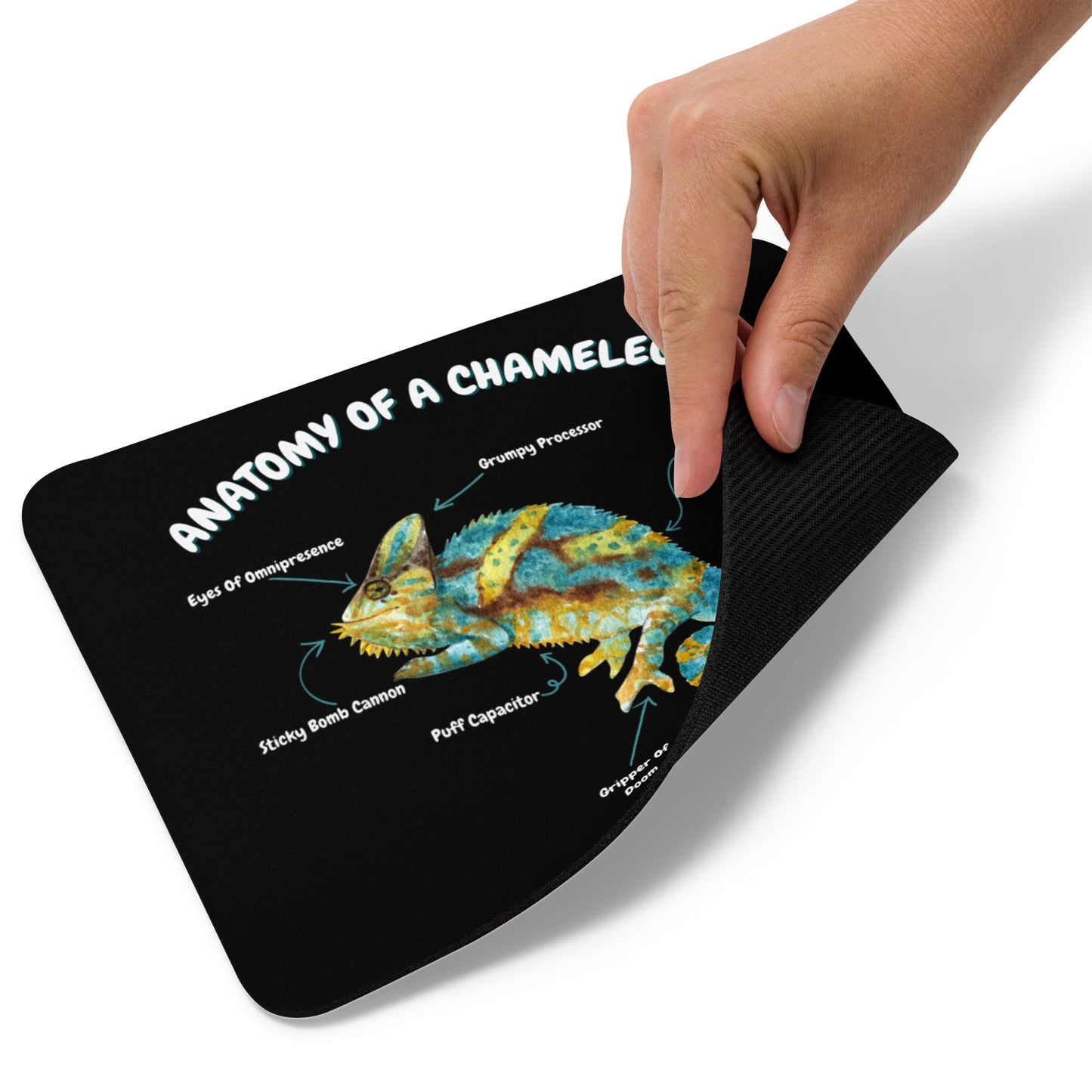 Anatomy of a Chameleon Mouse pad